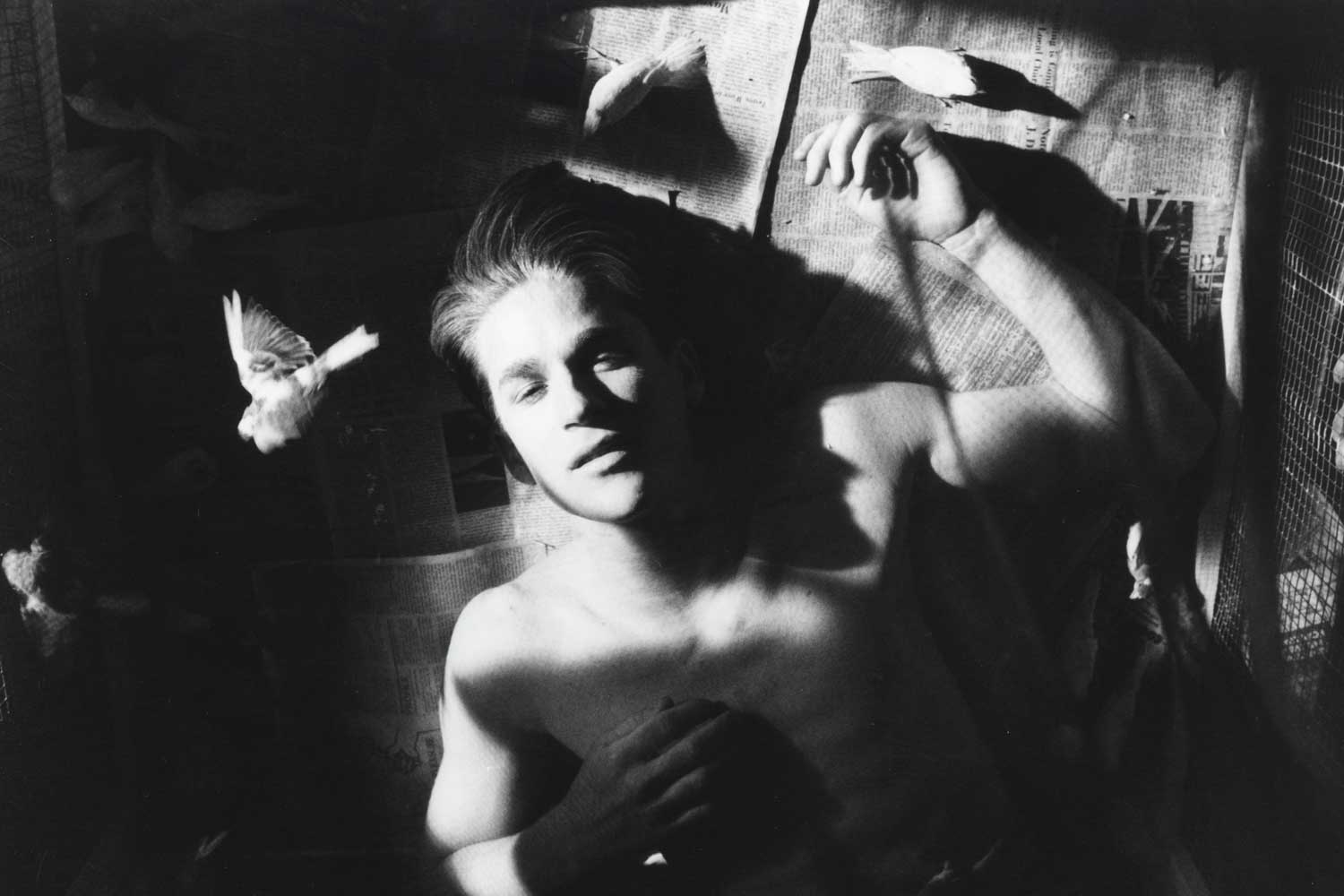 Matthew Modine in Birdy by Alan Parker 1984