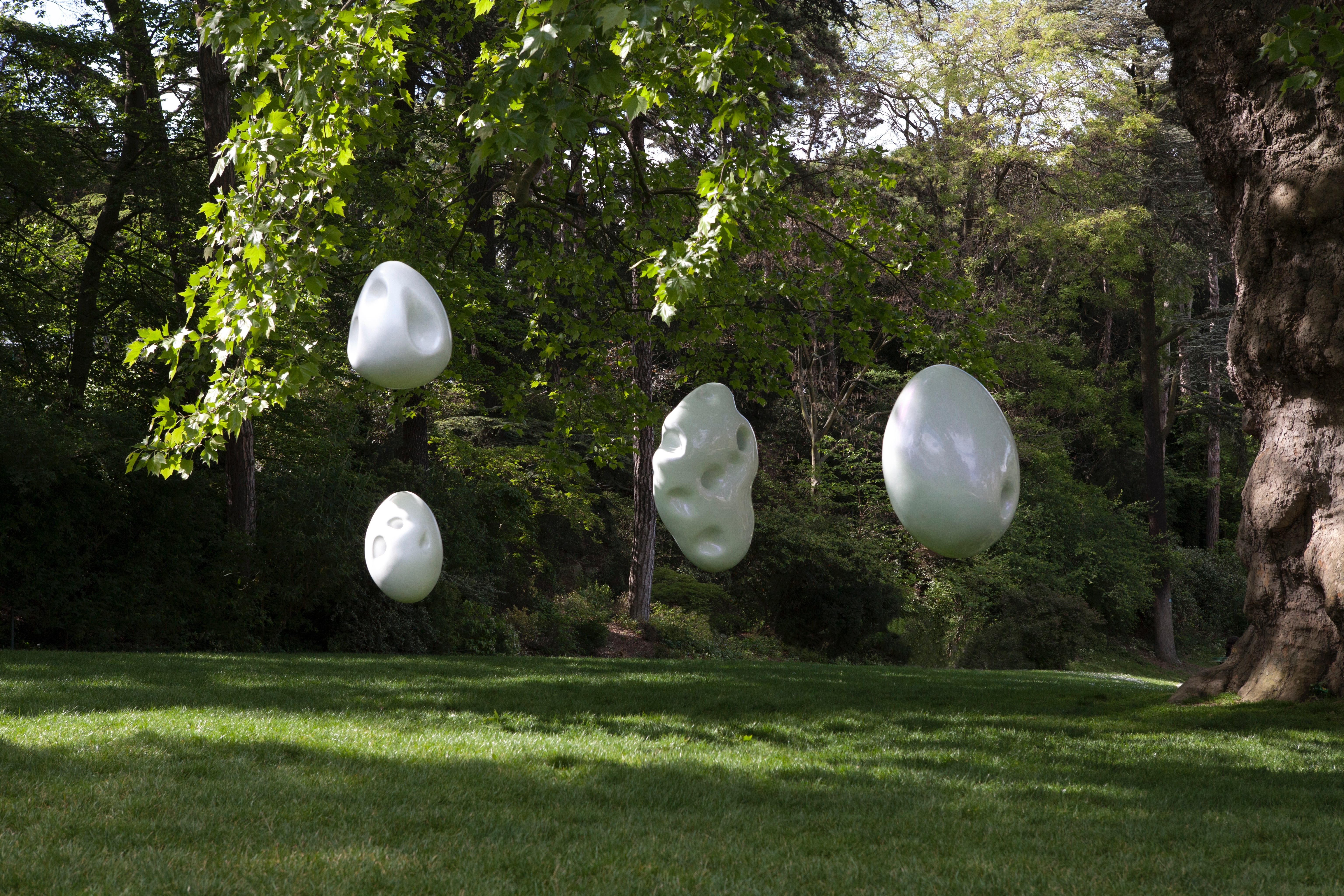 Zefyr Life Richard Texier