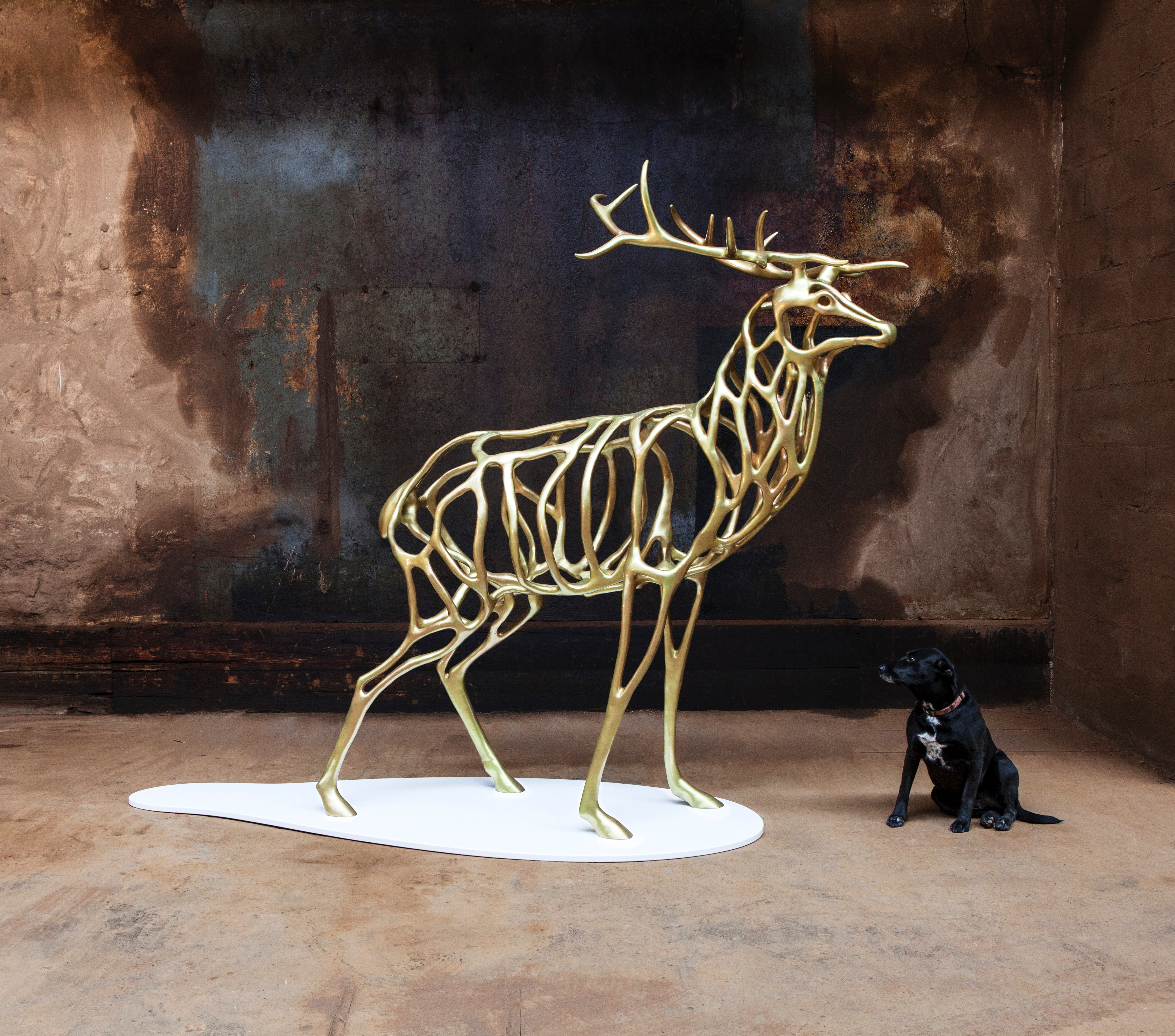Richard Texier for Zefyr Life