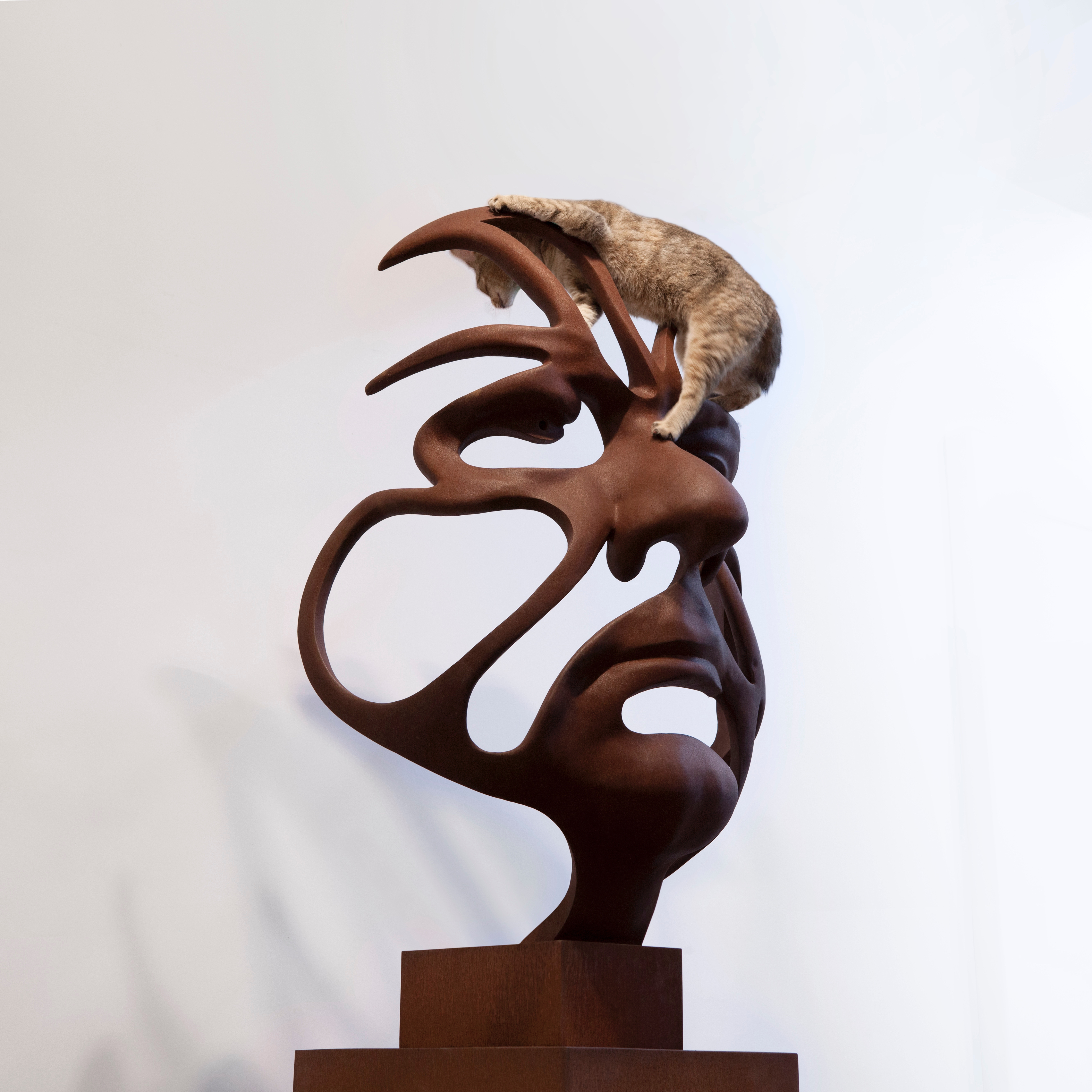 Richard Texier for Zefyr Life